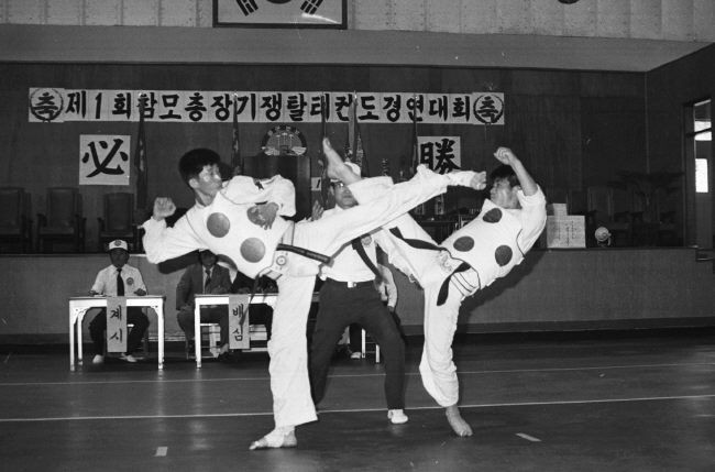 What is Taekwondo?