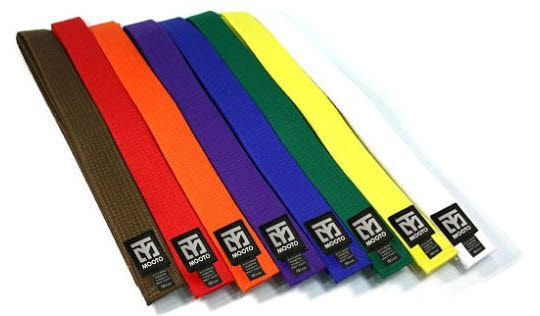The Real Taekwondo Belt Levels And&nbsp;Orders
